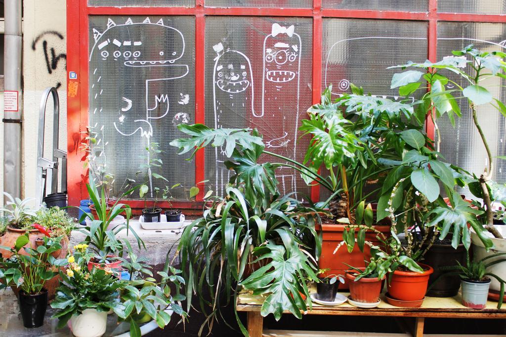 Dbc Hostel Βουδαπέστη Εξωτερικό φωτογραφία